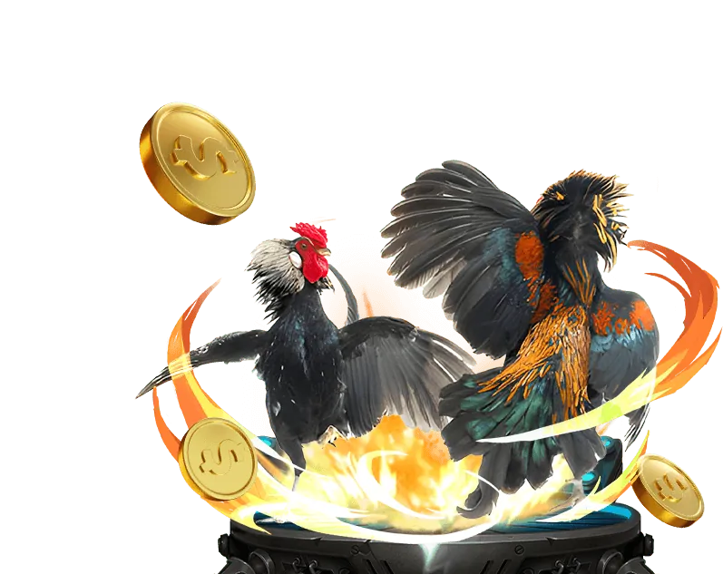 Đá gà trực tiếp hôm nay Thomo